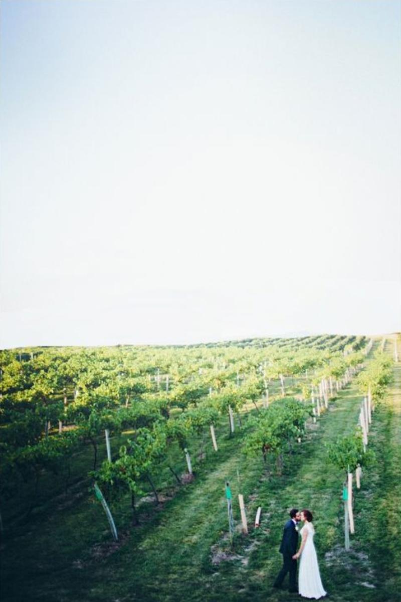 Summerset Winery, a barn wedding venue in Indianola, IA