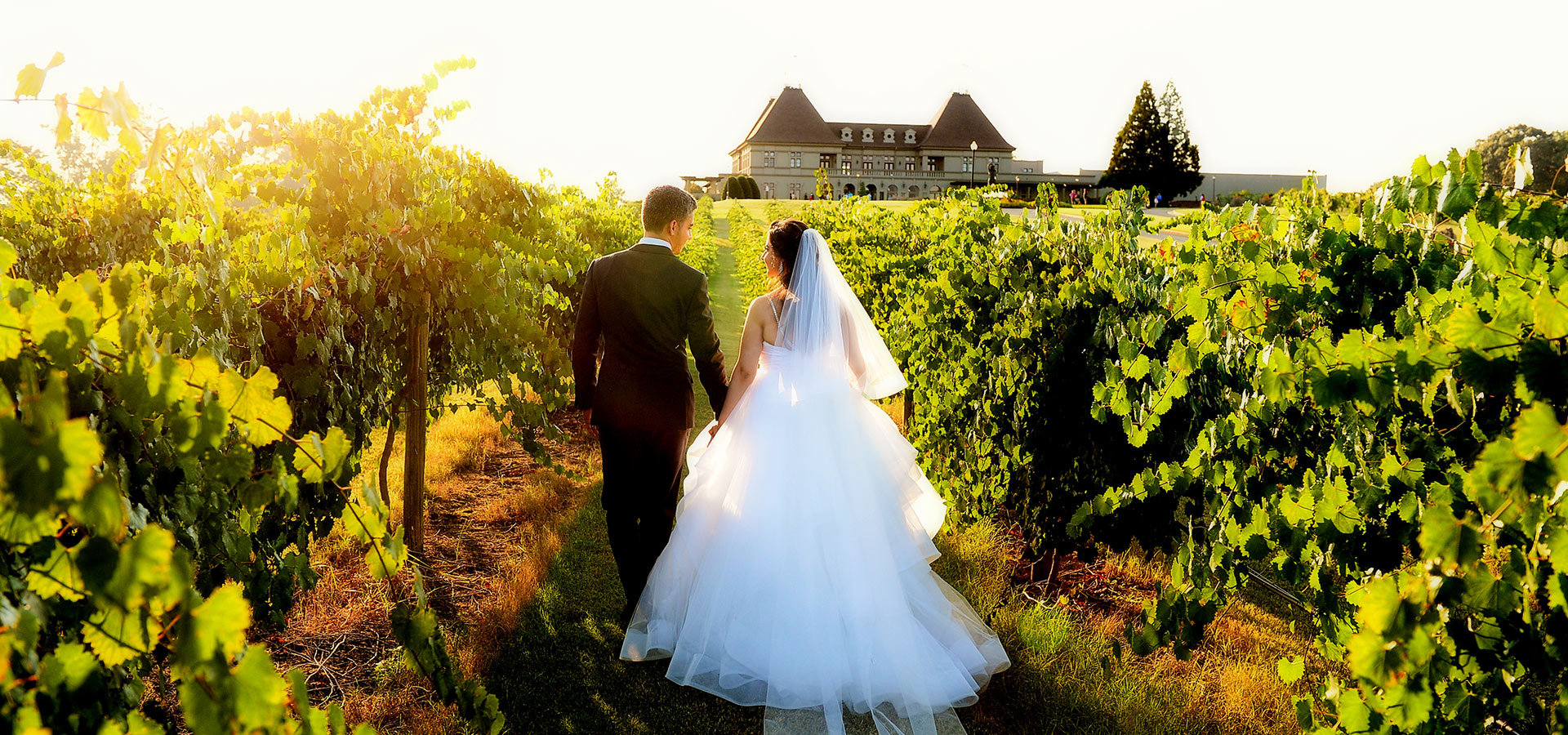 Chateau Elan Winery & Resort, a barn wedding venue in Braselton, GA