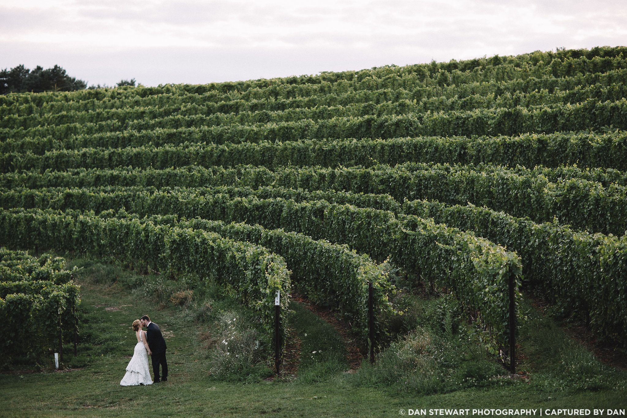 Black Star Farms, a barn wedding venue in Suttons Bay, MI