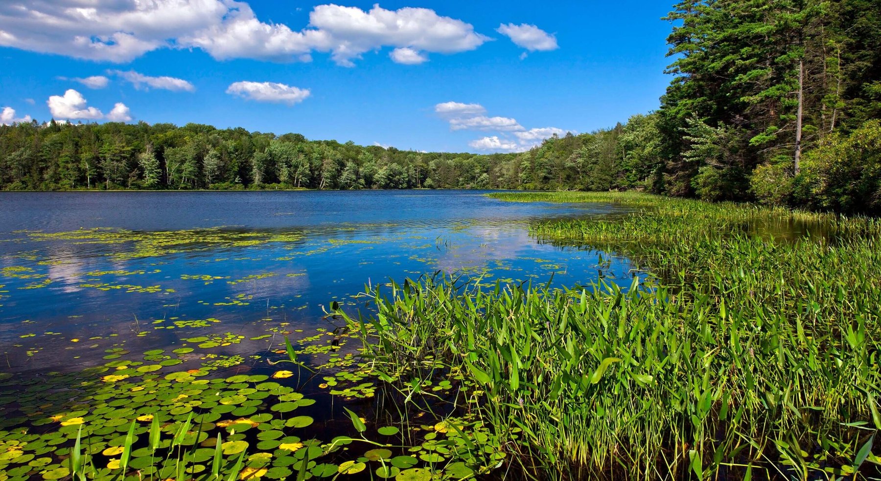 Historic Watres Lodge at Lacawac Sanctuary, a lake wedding venue in Lake Ariel, Pennsylvania