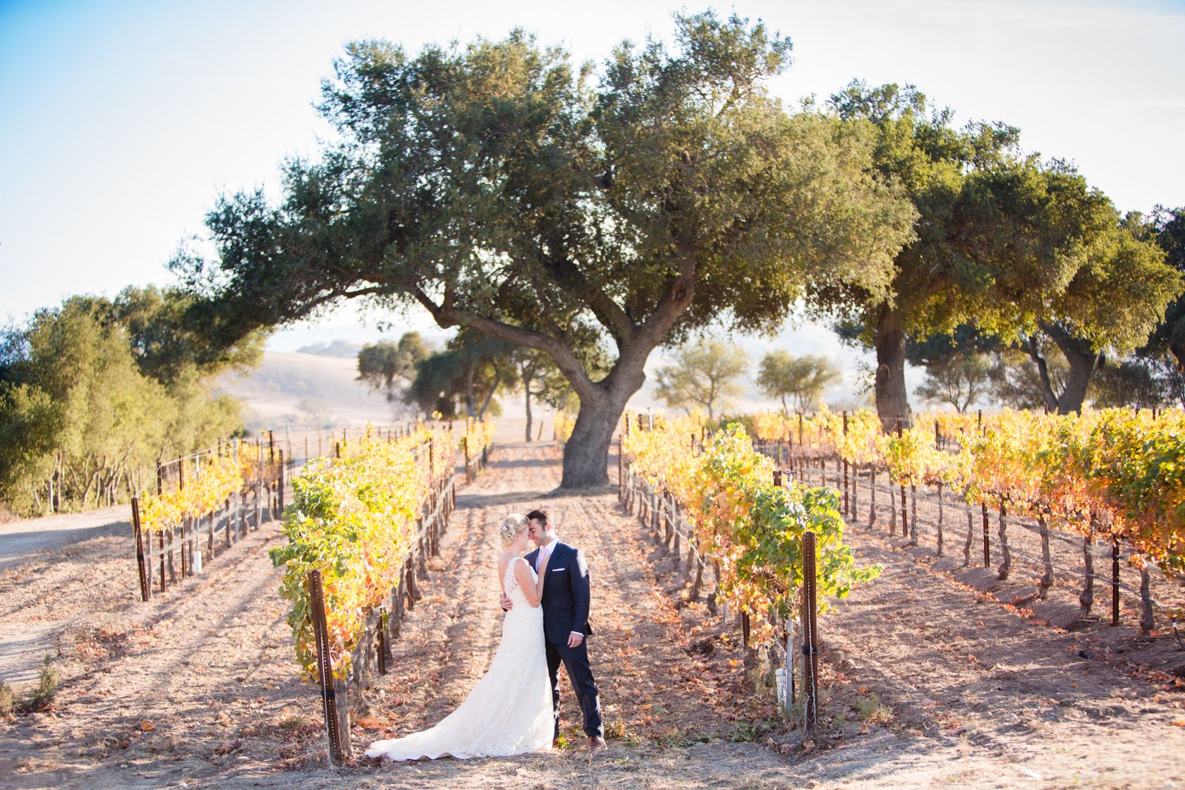 Firestone Vineyard, a barn wedding venue in Los Olivos, CA